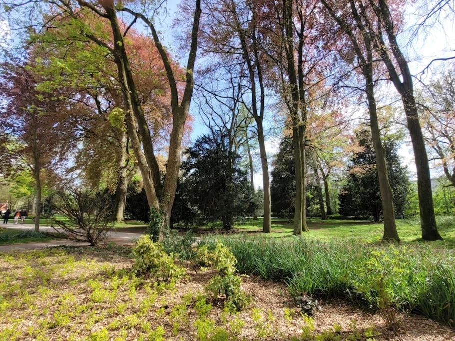 Mit Blick In Den Emsseepark Warendorf Zewnętrze zdjęcie