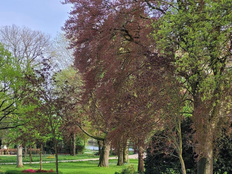 Mit Blick In Den Emsseepark Warendorf Zewnętrze zdjęcie